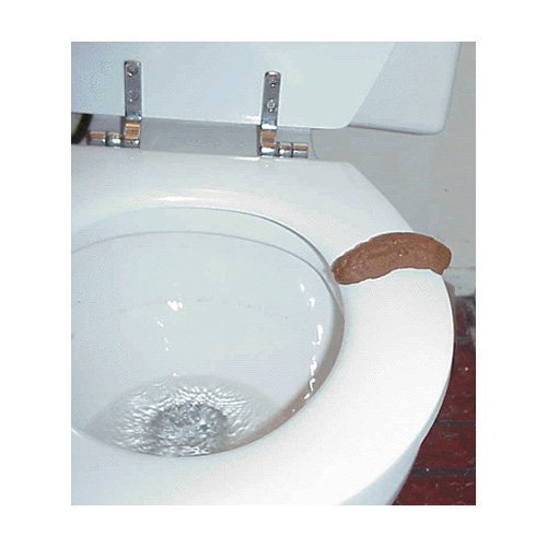 Loftus Gross Party Pooper Fake Poo Toy, Brown, 4 Inches #TOP2