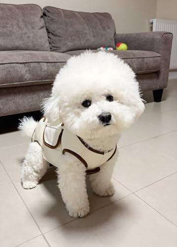 Arnés de elevación para perros con correa ajustable transpirable 3
