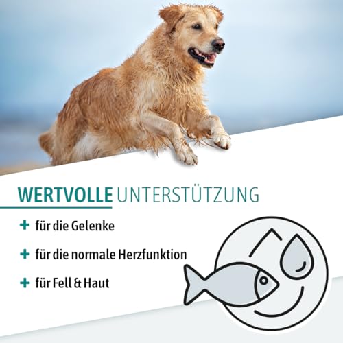 AniGo Premium Lachsöl Hunde 1 Liter, Omega 3 & 6 Barf Öl Hund I Lachsöl Hund 1 Liter I Hochdosiertes Fischöl - in Lebensmittelqualität