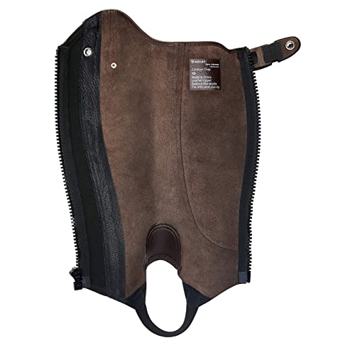 Chaps ARIAT Heritage Contour 10044599 cuir brun mollet regular LS - 4
