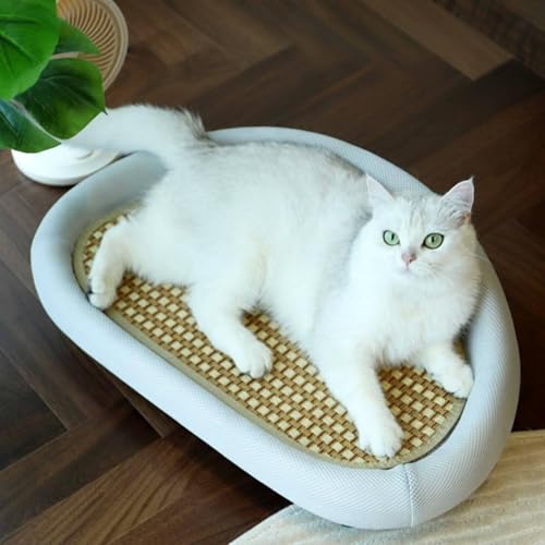 Canapé rafraîchissant pour chat antidérapant avec lit en sisal - 3
