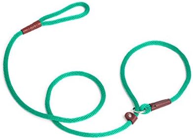 Rover on Main Slip Lead Dog Leash Pet Supplies for Dogs- 6ft Climbing Rope Slip Leash Dog Leash and Collar with Adjustable Collar for…