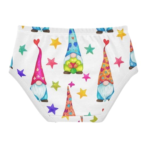 Toddler Girls Underwear 2t Cotton Panties Little Girl Durable Underpants Briefs Gnomes Stars Cute2
