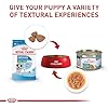 Royal Canin Size Health Nutrition Small Puppy Dry Dog Food, 4 lb Bag