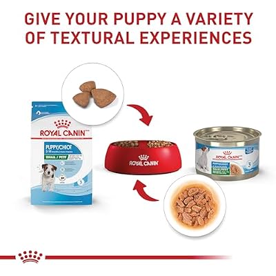 Royal Canin Size Health Nutrition Small Puppy Dry Dog Food, 4 lb Bag