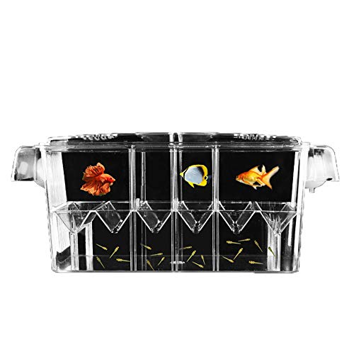 In-Tank Aquarium Breeder Box: Ideal Fish Tank Breeding Incubator for Small Fish Hatchery