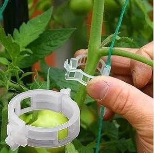 VIDA DE JARDIN Plant Support Garden Clips | Trellis Clips for Tomato Vine Vegetables Beans Fruits and Flowers | Durable Garden Accessories to Help Plants Grow Upright (Pack of 25)