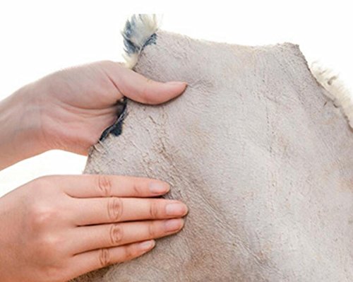 Gracefur Area Rug Tiger And Leopard Skin Printed Decor Rugs Super Soft Real Australia Sheepskin Carpet For Living Room, Bed Room, Sofa And So On 1 Pelt (Tiger) #TOP4