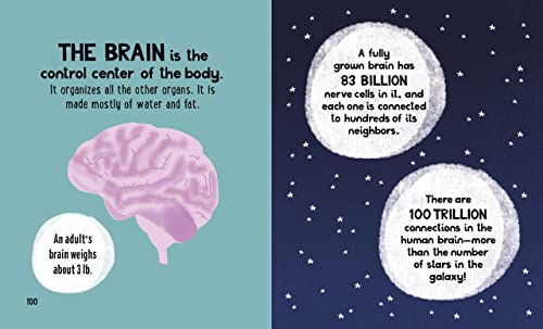 The Small and Mighty Book of the Human Body: Pocket-sized books, massive facts!