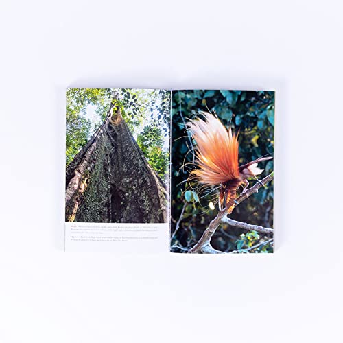 Living Planet: The Web of Life on Earth - Image 6