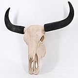 tierschädel kaufen schweiz Zeigt sich als ein echter Blickfang im Zuhause: diese ausgefallene Wanddekoration.