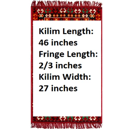 Small Tribal Area Rugs For Indoor Entryway | Woven Kilim Runner Carpet For Aesthetic Baths Or Kitchens|2X3 Feet (27X46 Inch)| Lightweight Accent Rug #TOP7