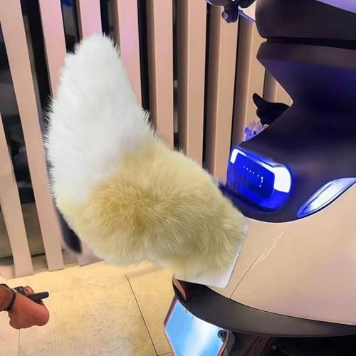 Queue de cosplay mobile aérodynamique pour tuning véhicule et performance