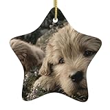 Funzione e usi: ideale per decorare case, negozi, centri commerciali e supermercati durante le festività natalizie; questo souvenir festivo si fonde facilmente con stili di decorazione esistenti e funge da elegante accento per alberi di Natale o decorazioni da parete