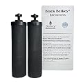 Berkey Authentic Black Berkey Elements BB9-2 Filters for Berkey Water Systems (Set of 2)