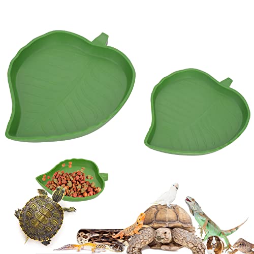 Top 10 Reptile Fountain Water Dishes A Comprehensive Buying Guide