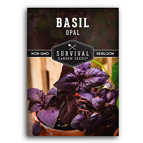 Survival Garden Seeds - Opal Basil Seed For Planting - Packet With Instructions To Plant And Grow Delicious & Unique Purple Basil Herb Plants In Your Home Vegetable Garden - Non-Gmo Heirloom Variety #TOP5