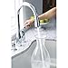 KOHLER 647-CP K-647-CP Simplice Pull Down Kitchen Faucet, 2-Spray Faucet, Kitchen Sink Faucet with Pull Down Sprayer, Polished Chrome