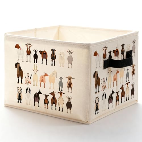 LADOCK(hbN) 냄Mr[{bNX ̎q/j̎qᔠ MDƂւ̃Mtg ܂肽ݎoXPbgI[KiCU[ nht Q oX[ z[ ̖{p