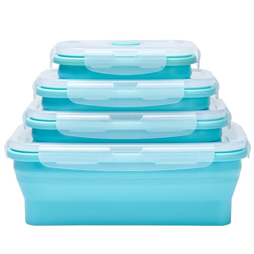 Set of 4 Collapsible Silicone Food Storage Container,