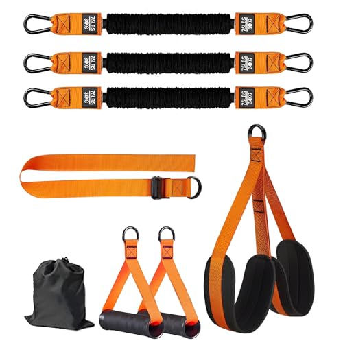 [Miflaier]߉\ ⏕oh یt 200KGω׏d g[jO pؗ̓Abv  ȒPݒu jp g[jO S݌v