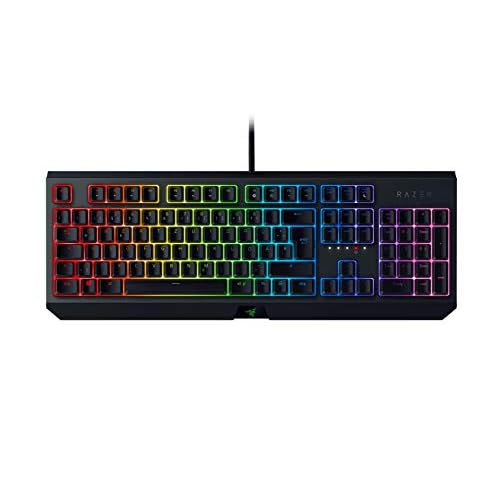 Razer BlackWidow (2019) - Mechanical Full-Size Gaming-Keyboard (Tastatur mit mechanischen Razer Green Switches, programmierbare Tasten, Kabel-Management, RGB Chroma Beleuchtung) DE-Layout