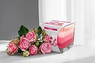 Bispol Belle bougie 3 couleurs en verre, 10 parfums, 32 heures de combustion (anti tabac)