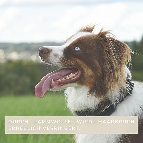 Chris innovatives Hundehalsband aus Lammwolle, Halsband vermindert erheblich Haarbruch, gepolstert, reflektierend, verstellbar, für kleine mittel große Hunde in M (35-45cm)