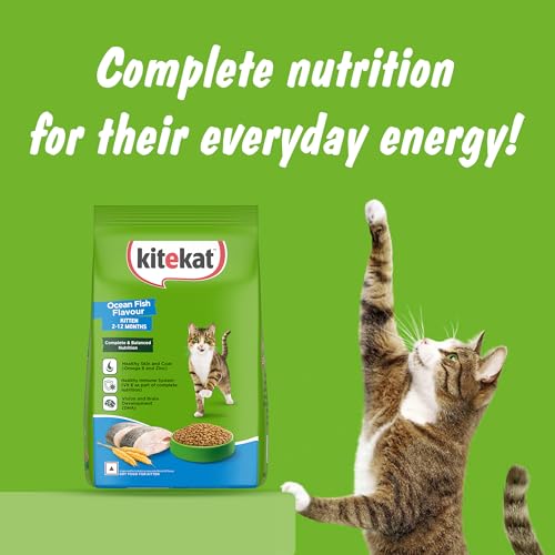 Image of Kitekat Kitten (2-12 Months) Dry Cat Food, Ocean Fish Flavour, 370g, Complete and Balanced Nutrition for Kittens