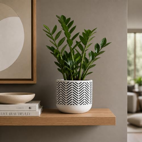 Image of Urban Plant White Chevron Handcrafted Terracotta Planter | Monochrome Indoor Clay Pot for Living Room | Artisan Decorative Flower Pot | Modern Minimal Home Decor | Drainage Hole | 4-6 Inch