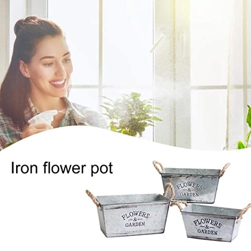 Plant hydroponic container en fer résistant pour balcon abrité