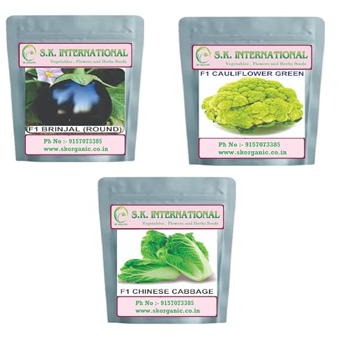 Image of Vegetable Seeds F1 Hybrid for Kitchen Garden, Farmhouse and Farm, Grow Fresh Veggies Daily (Brijal Round-Cauliflower Greenn -chinese cabbage)