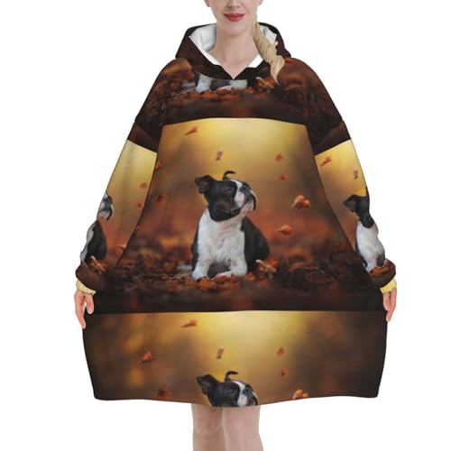 Sweat à capuche flanelle Boston Terrier finitions premium