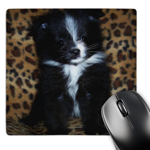 Rebecca Anne Grantʐ^ ? ubNzCgMarkings|jAq ? }EXpbh(MP 15769 _ 1 )