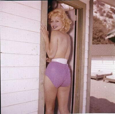 Silver Screen Archives Greta Thyssen Sexy Exotic Danish Pin-Up Glamour Model Risque 2 1/4 Transparency Photograph