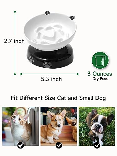 Y YHY Slow Feeder, Elevated Food Bowl Tilted Design for Dog and Cat for Dry and Wet Food - Image 4