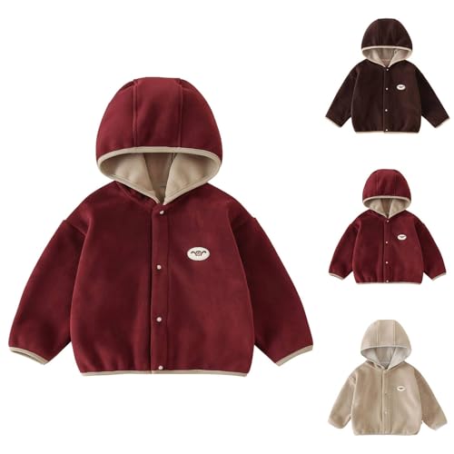 BILIKEYU Toddler Little Boys Girls Fleece Coats Buttons Down Jacket Winter Warm Hooded Outwear Coats for 1 to 63