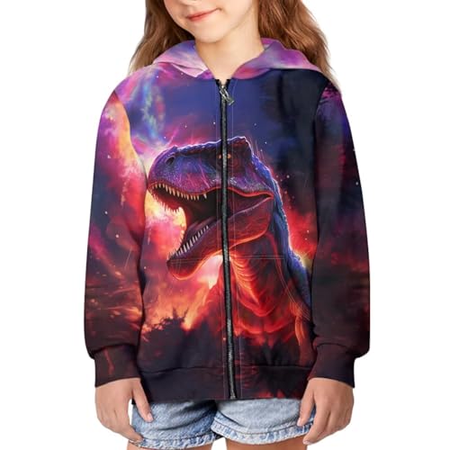HUIACONG 14-16 Hoodies for Teen BoysDinosaur Sweatshirts Zip Up Hoodies Galaxy Purple Novelty Jacket for Kids Long Sleeve Shirt Hooded with Pocket Athletic Clothes Tops4
