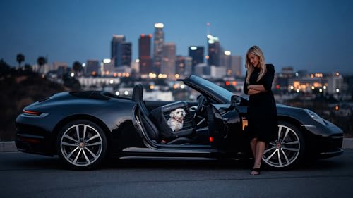 4pets Caree ISOFIX Connector Set