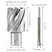 Accusize Industrial Tools H.S.S. Annular Cutter 1-3/16'' by 1'' Cutting Depth with 1 Pc Pilot Pin, 2080-2024Pin