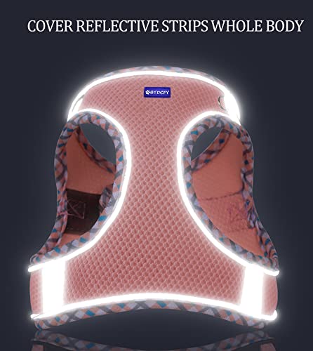 Btdcfy Step In Mesh Dog Harness And Leash Set Breathable Air Mesh Reflective Escape Proof Dog Harness Vest No Choke Lightweight Mesh Dog Harness #TOP5
