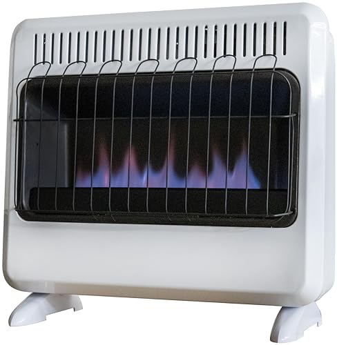 30,000 BTU Vent Free Blue Flame Dual Fuel Heater