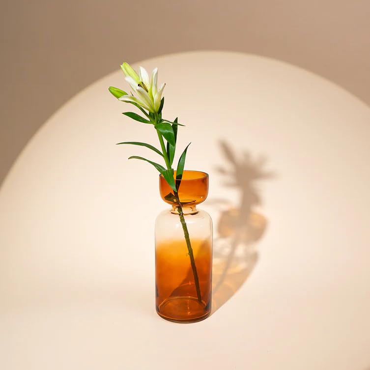Image of Grande Handblown Glass Vase for Flowers & Home Decor | Haze Brown Decorative Table Vase for Living Room, Dining Table & Gifting