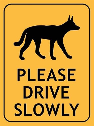 Funny Vintage 8"x12" Tin Sign - Dingo Please Drive Slowly, Wall Art Decor For Home Farmhouse Bar Cafe Yard Indoor & Outdoor Gift