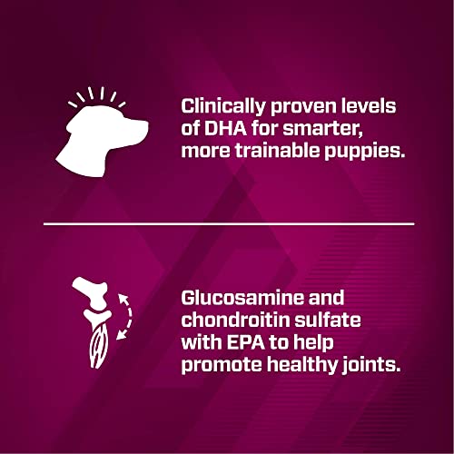 Eukanuba Premium Performance Puppy Dry Dog Food, 28 Pound #TOP6