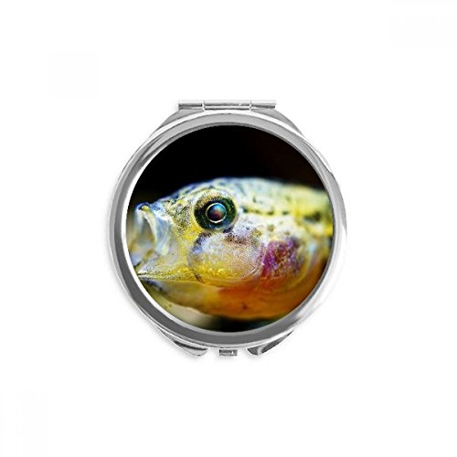 Miroir de maquillage poisson tropical portable pour retouches express en voyage et au bureau