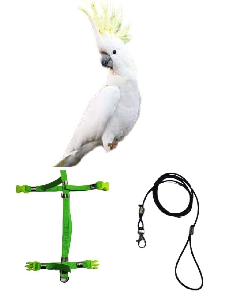 Arnés para cacatúa y loros de todas las razas con cuerda resistente de 3 mm