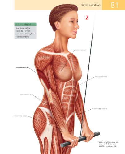 image for Barrons Educational Series Student's Anatomy of Exercise Manual: 50 Es