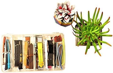 Plastic Case Organizer for Apple Smart Watch Bands, Sunglasses & Accessories Clear Storage Box