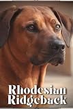  Rhodesian Ridgeback: Dog breed overview and guide